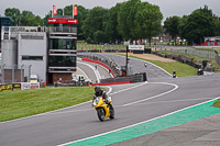 Evening Low_Mid Group Yellow Bikes